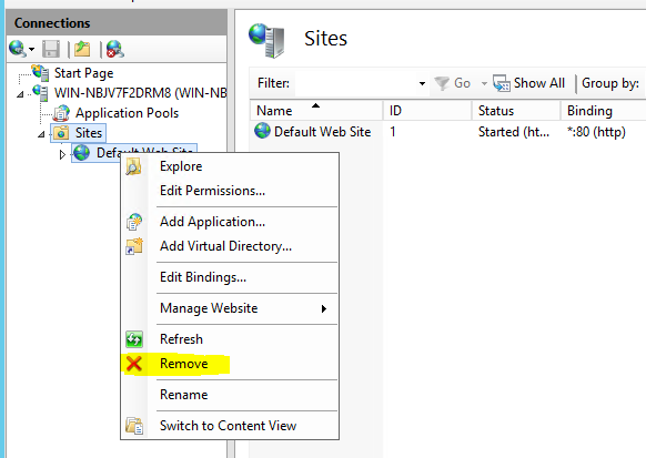 Remove default website